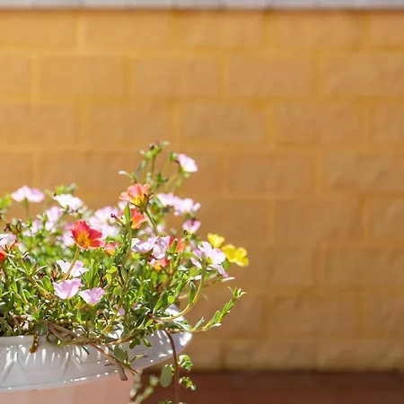 Апартаменты Apartamento Beramendi Торремолинос